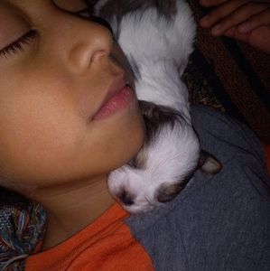 Meet your Posher, Yoli